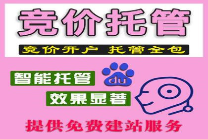 SEM搜索引擎优化案例：如何提升网站流量和转化率