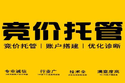 360信息流广告与用户画像的精准匹配案例